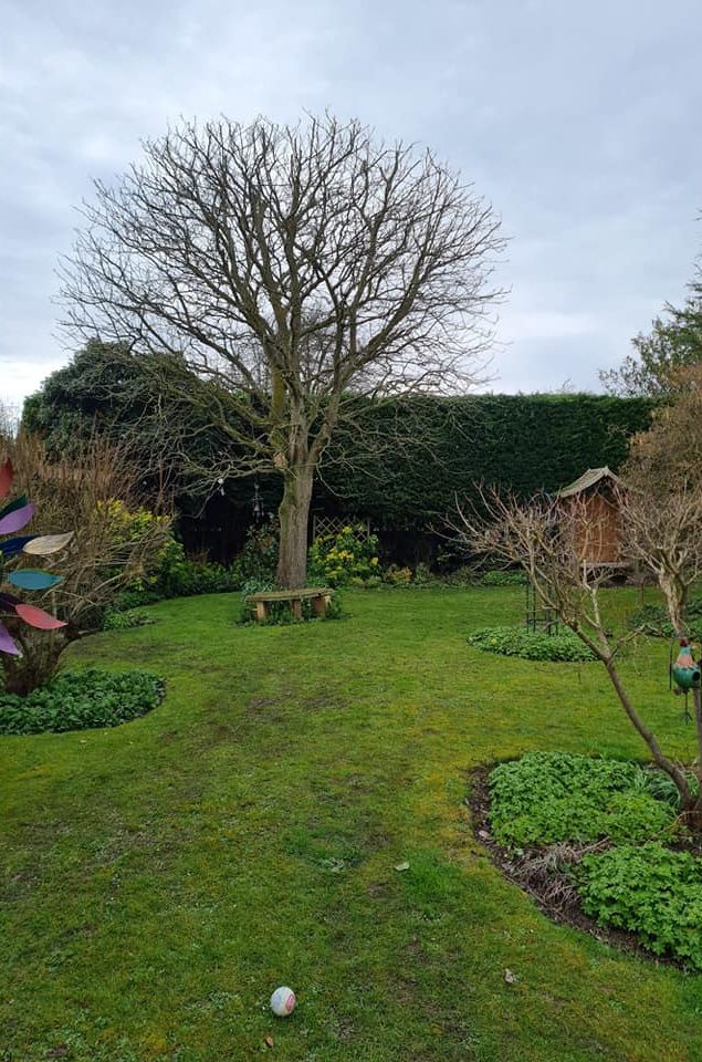 garden maintenance