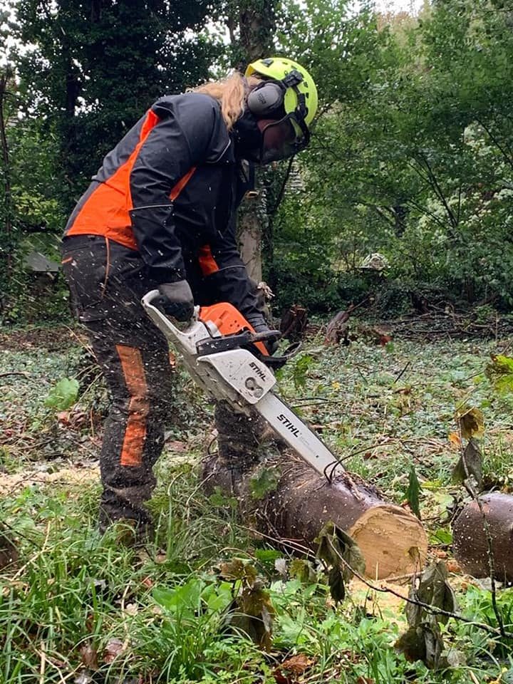 tree surgery