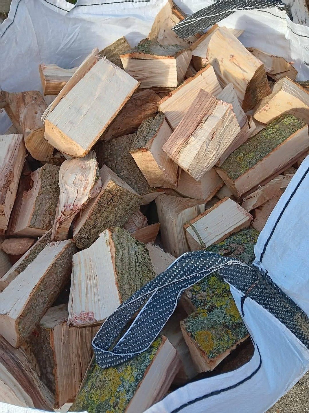 Stacked hardwood logs from local tree work in Hertfordshire.