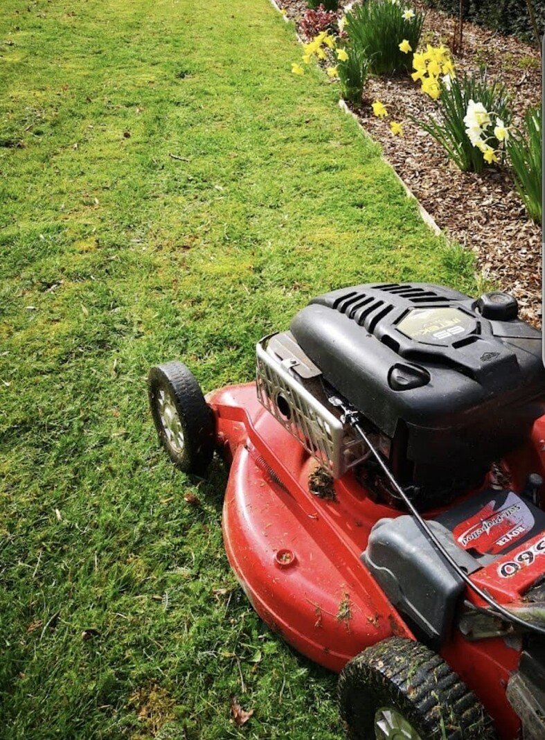 Freshly cut lawn in a tidy North Hertfordshire garden.