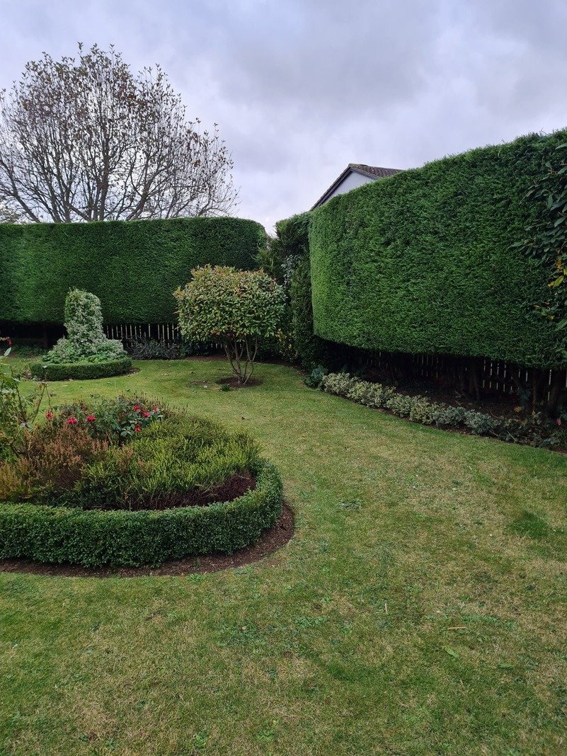 Treescapes team leaving a garden clean and tidy after maintenance work.