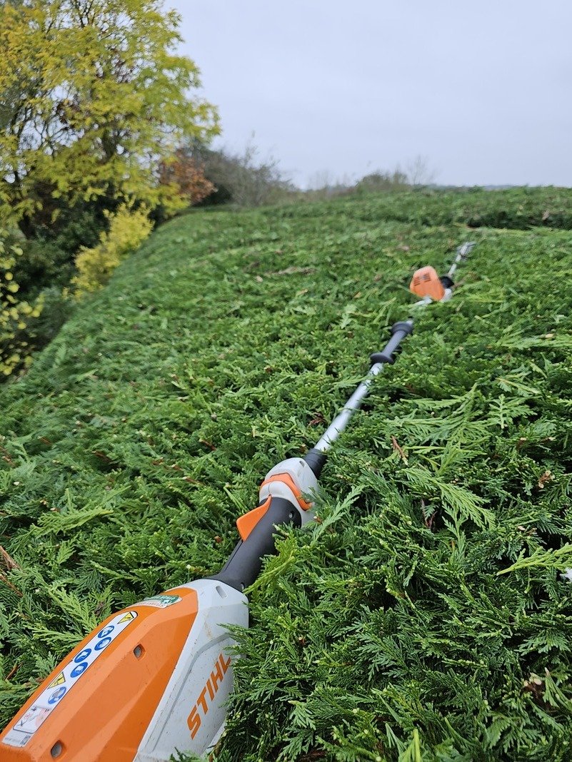 Hedge trimming service in Shillington