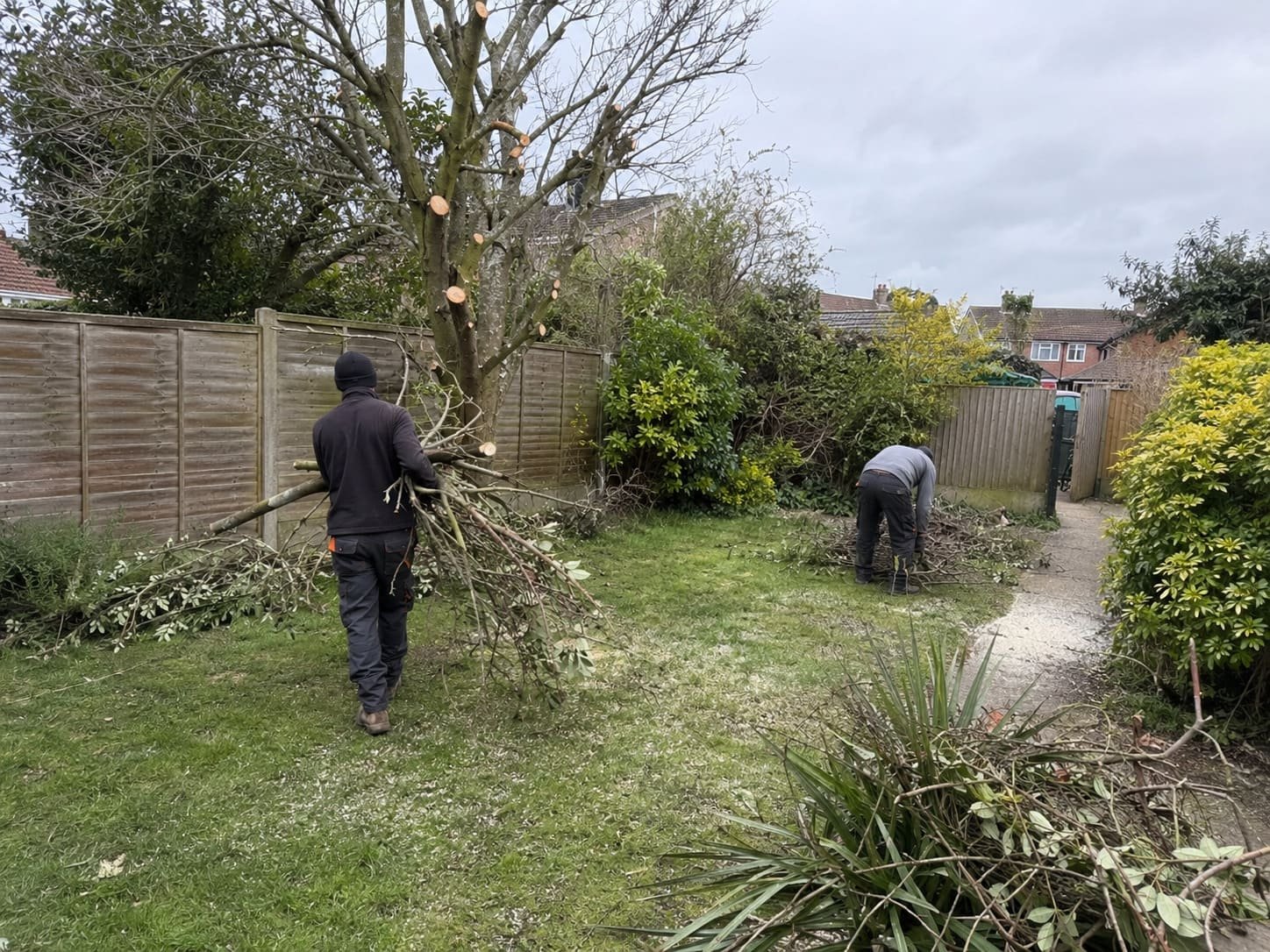 Tree surgeons clearing cut branches from residential garden after Henlow tree work