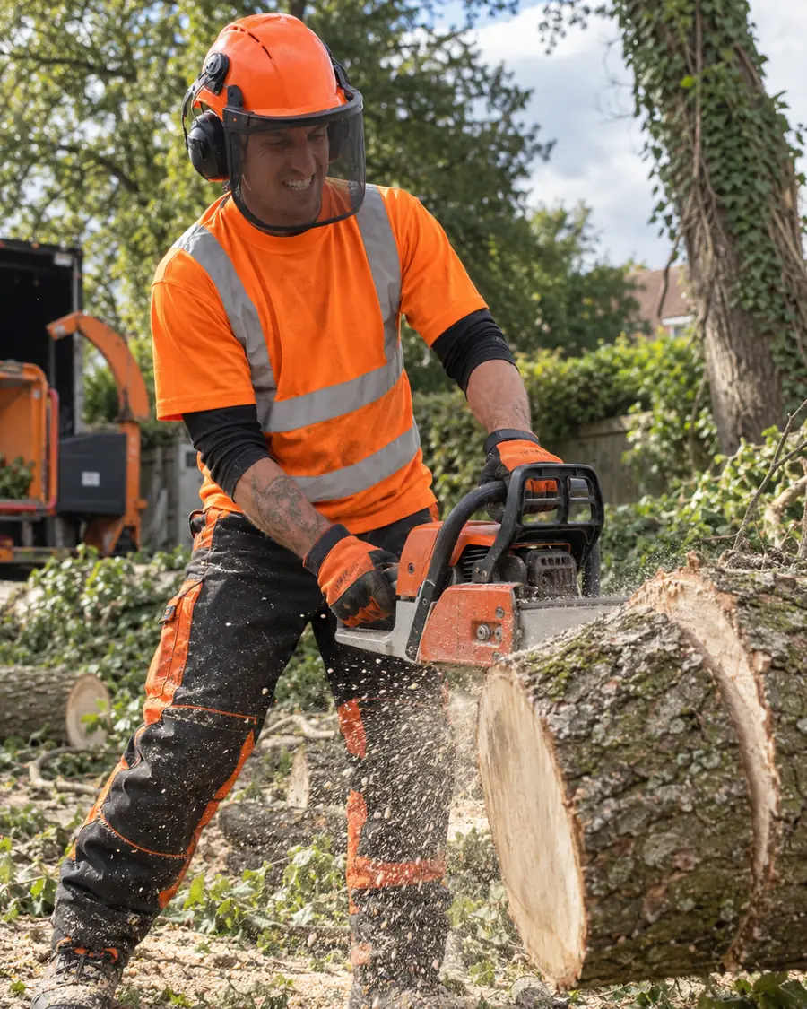 Joe, qualified arborist, working in a tree near Arlesey